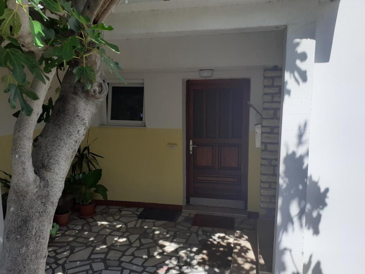 Apartmani Karuza 노바야 외부 사진